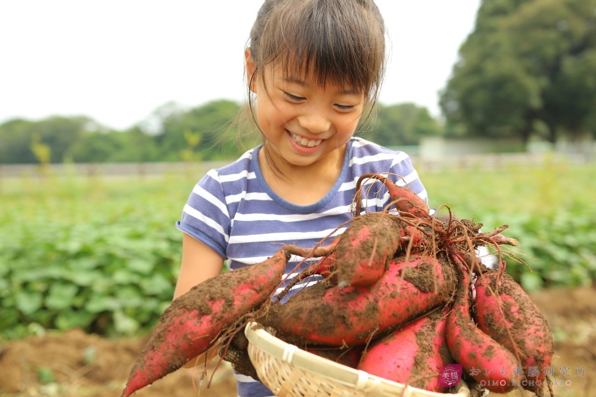 さつまいもを食べるとおならが出やすくなる理由と防ぐ方法 おいも美腸研究所