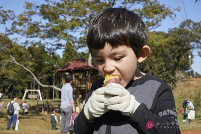 さつまいもを食べても血糖値の上がりが緩やかな理由 さつまいもを食べても血糖値の上がりが緩やかな理由