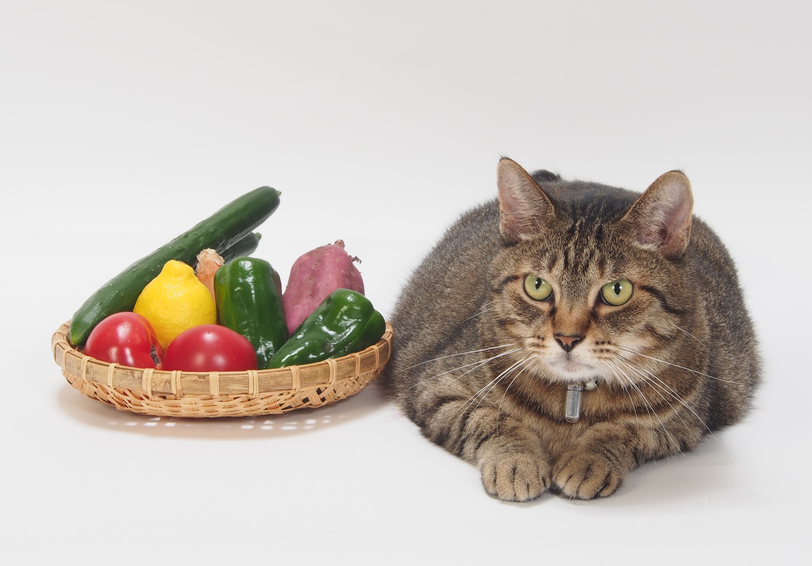 猫にさつまいもをあげても大丈夫 安全な量と食べさせ方 おいも美腸研究所