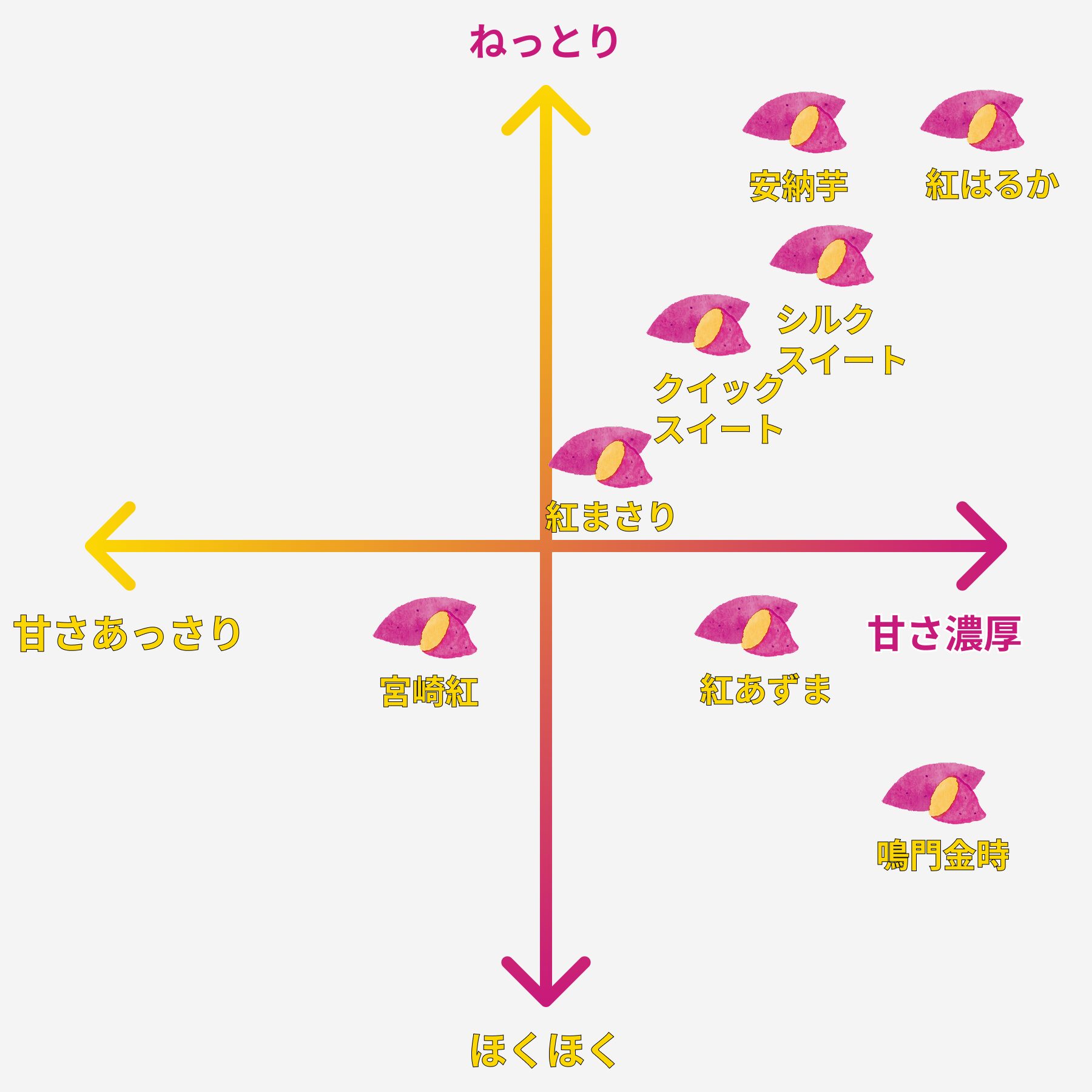 さつまいもの種類はどれくらいある？代表的なさつまいもの種類と種類 