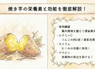 焼き芋の栄養素と効能について徹底解説！