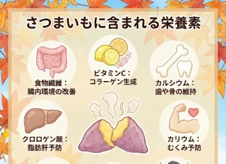 さつまいもの栄養素