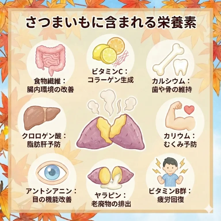 さつまいもを食べる事によって得られる効果と栄養素