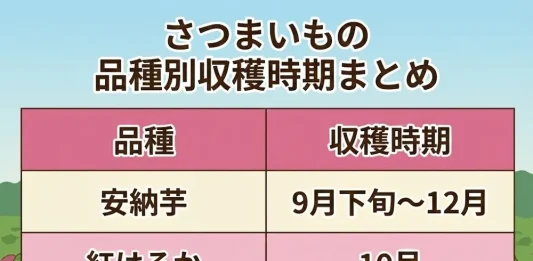 さつまいもの品種別収穫時期
