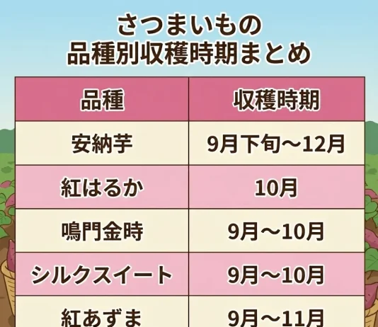 さつまいもの品種別収穫時期