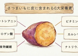 さつまいもに皮に含まれる6大栄養素