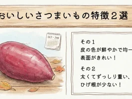 おいしいさつまいもの選び方