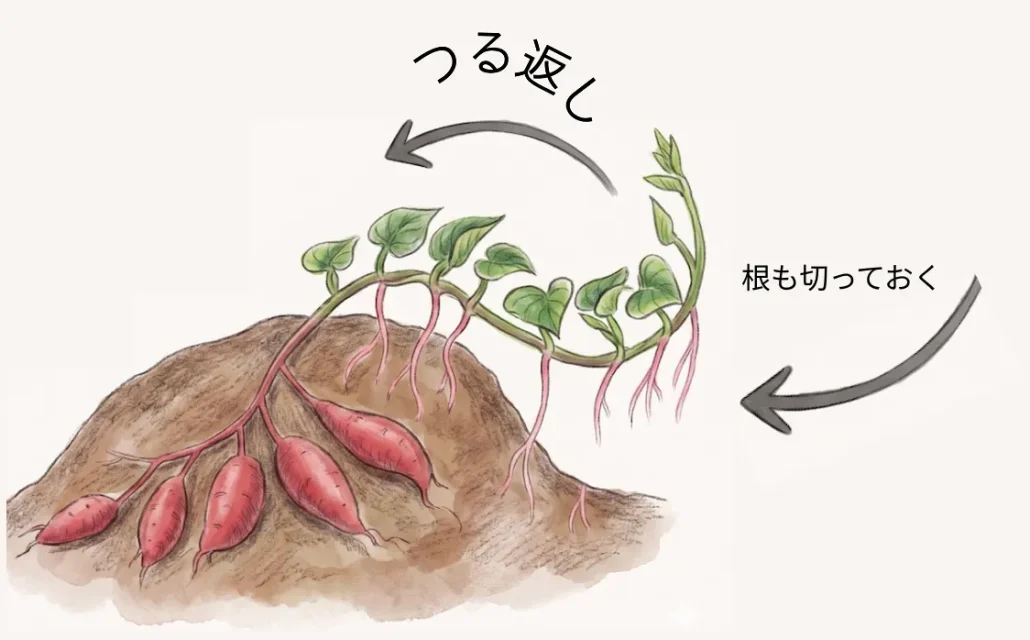 つる返し